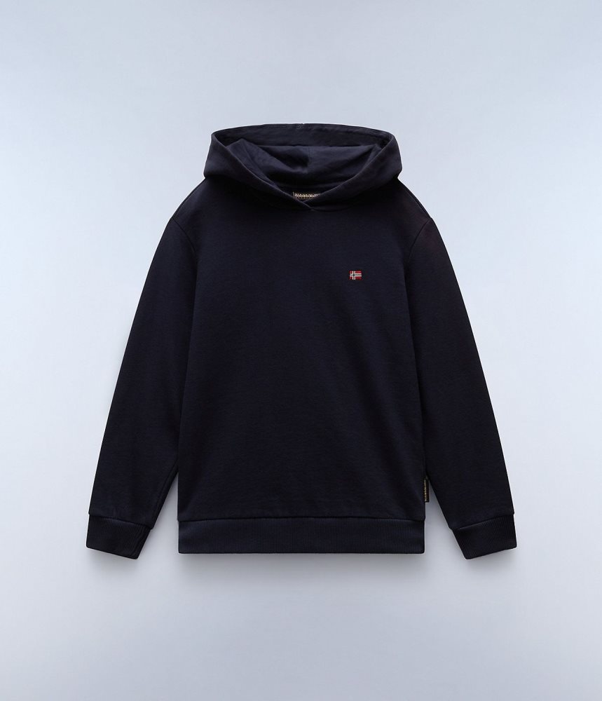 Hanorac cu Gluga Copii Napapijri Balis Hoodie (4-16 YEARS) Albastri Inchis | QJY576891