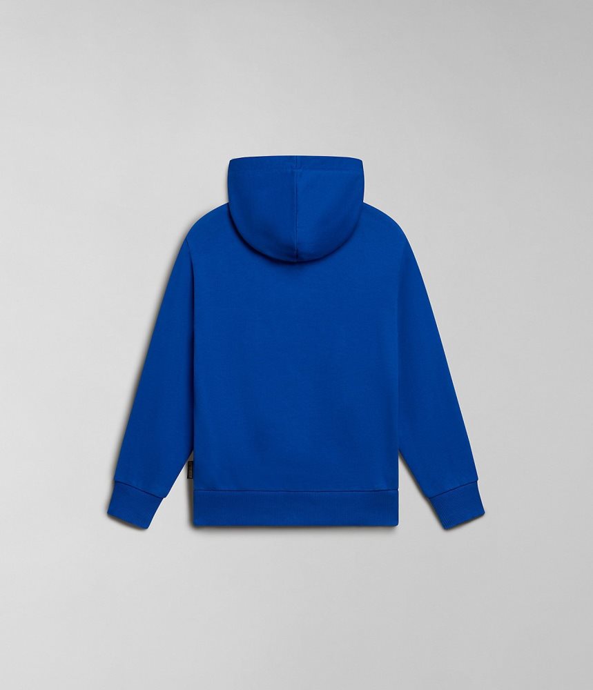 Hanorac cu Gluga Copii Napapijri Cree Hoodie (4-16 YEARS) Albastri | KIM680917