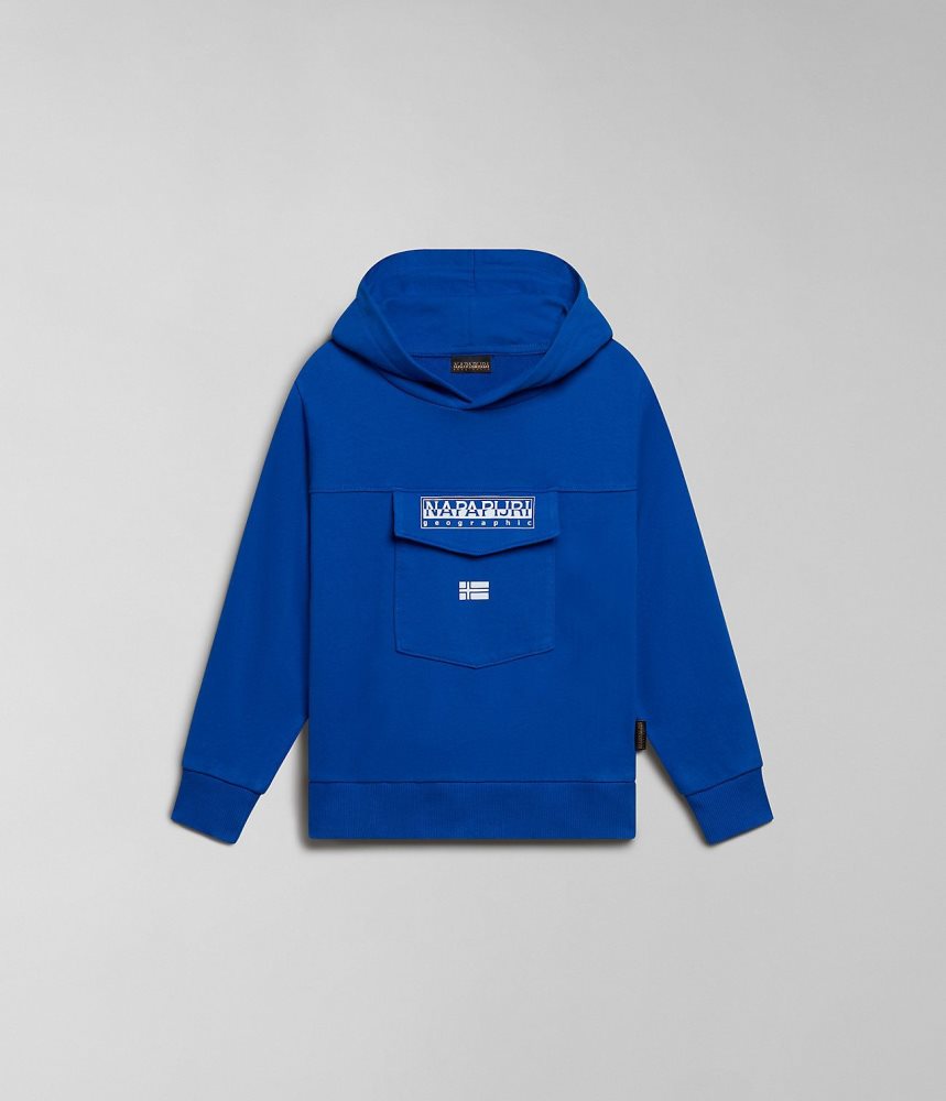 Hanorac cu Gluga Copii Napapijri Cree Hoodie (4-16 YEARS) Albastri | KIM680917