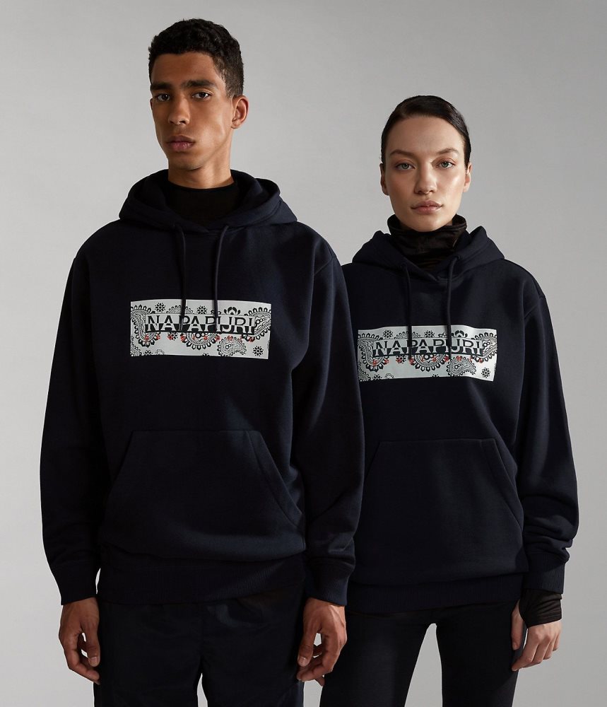 Hanorac cu Gluga Dama Napapijri Andesite Hoodie Negrii | YNI308291
