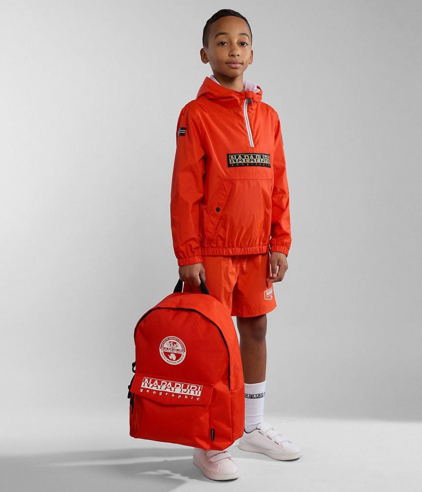 Rucsacuri Barbati Napapijri Hornby Backpack Portocalii | YLG548329