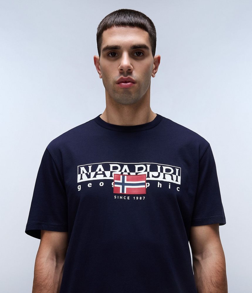 Tricouri Barbati Napapijri Aylmer Short Sleeve T-Shirt Albastri Inchis | ZTS297460