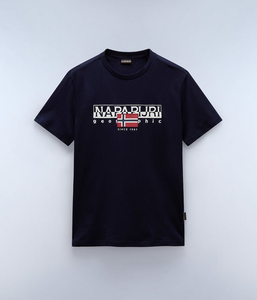 Tricouri Barbati Napapijri Aylmer Short Sleeve T-Shirt Albastri Inchis | ZTS297460