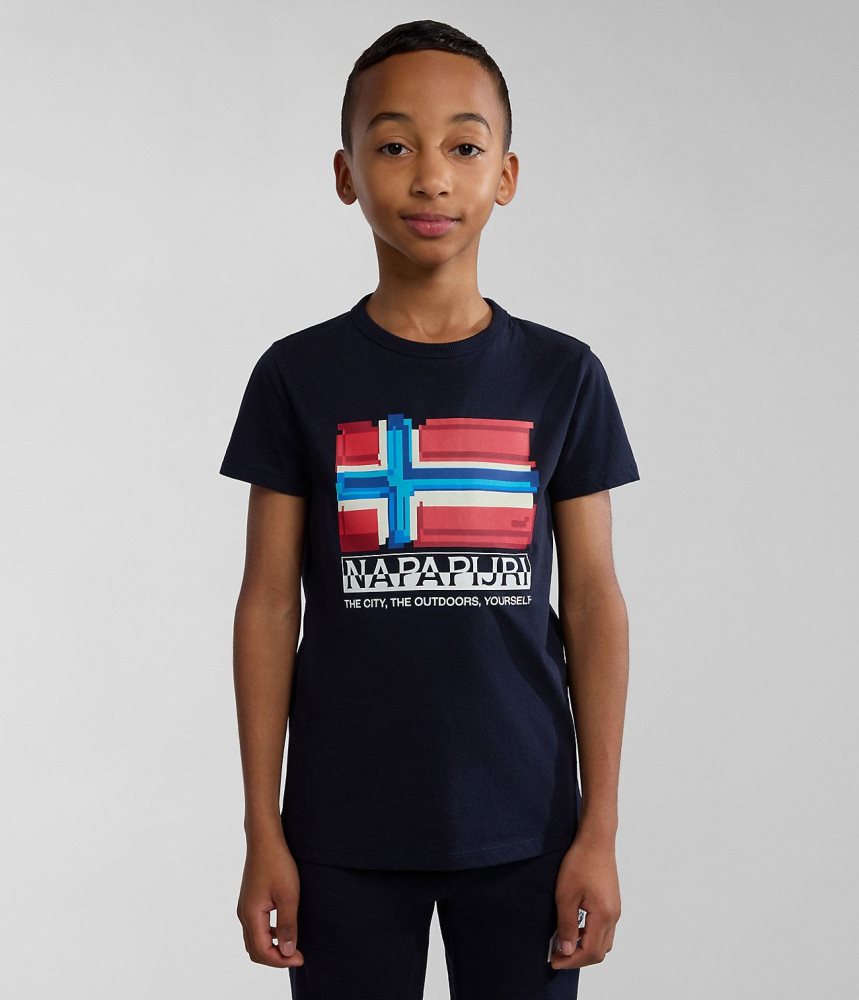 Tricouri Copii Napapijri Liard Short Sleeve T-Shirt (4-16 YEARS) Albastri Inchis | YLW076352