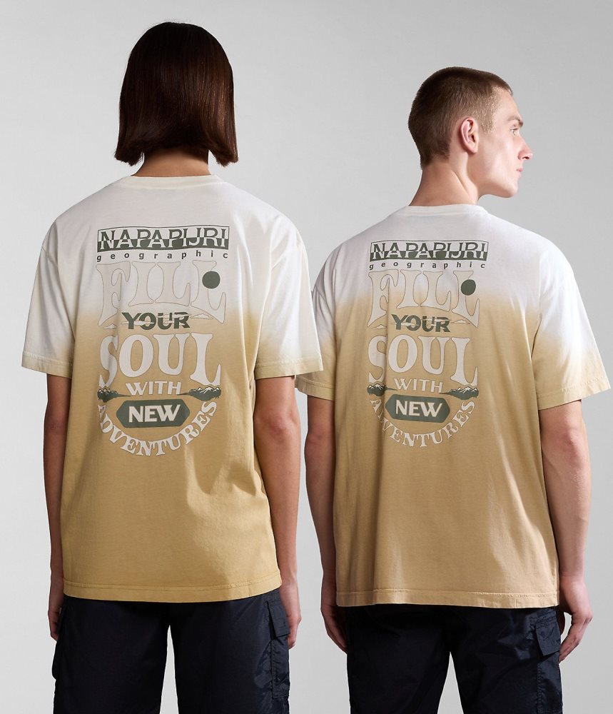 Tricouri Dama Napapijri Howard Short Sleeve T-Shirt Bej | FKR587931