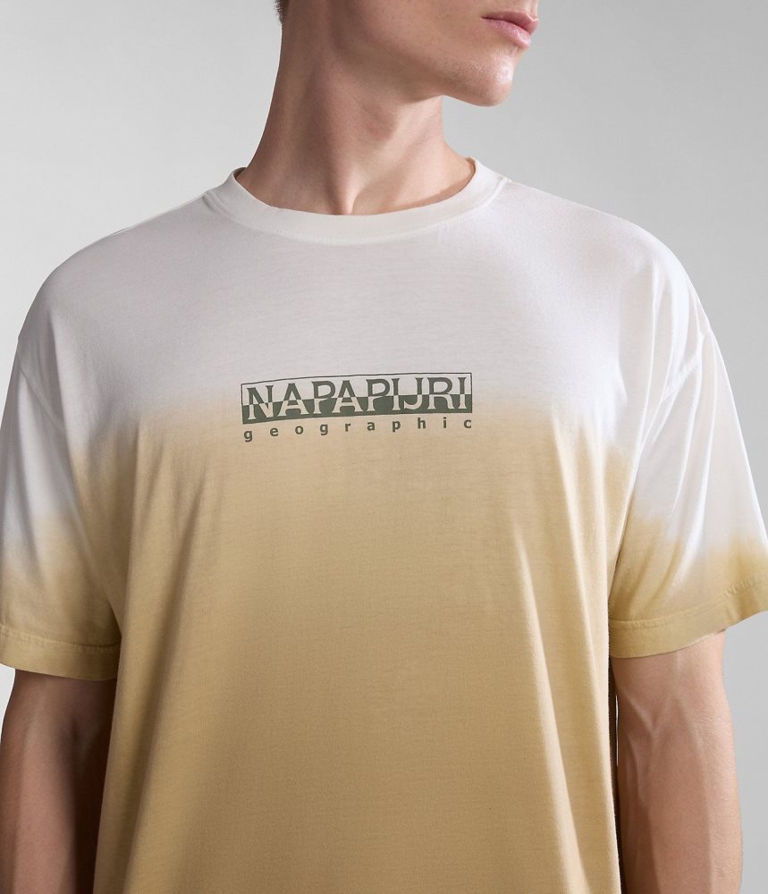 Tricouri Dama Napapijri Howard Short Sleeve T-Shirt Bej | FKR587931