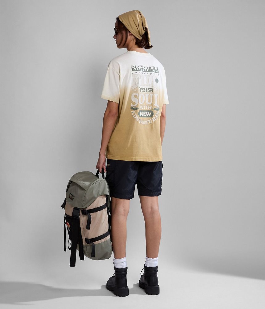 Tricouri Dama Napapijri Howard Short Sleeve T-Shirt Bej | FKR587931