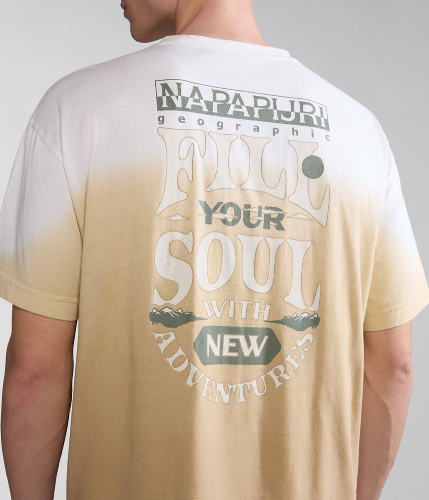Tricouri Dama Napapijri Howard Short Sleeve T-Shirt Bej | FKR587931