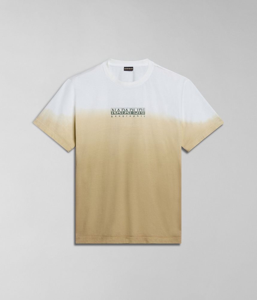 Tricouri Dama Napapijri Howard Short Sleeve T-Shirt Bej | FKR587931