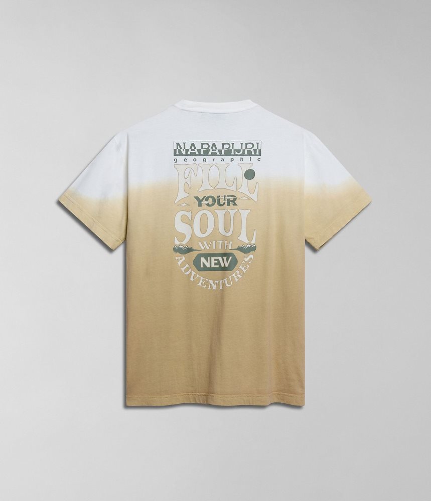 Tricouri Dama Napapijri Howard Short Sleeve T-Shirt Bej | FKR587931